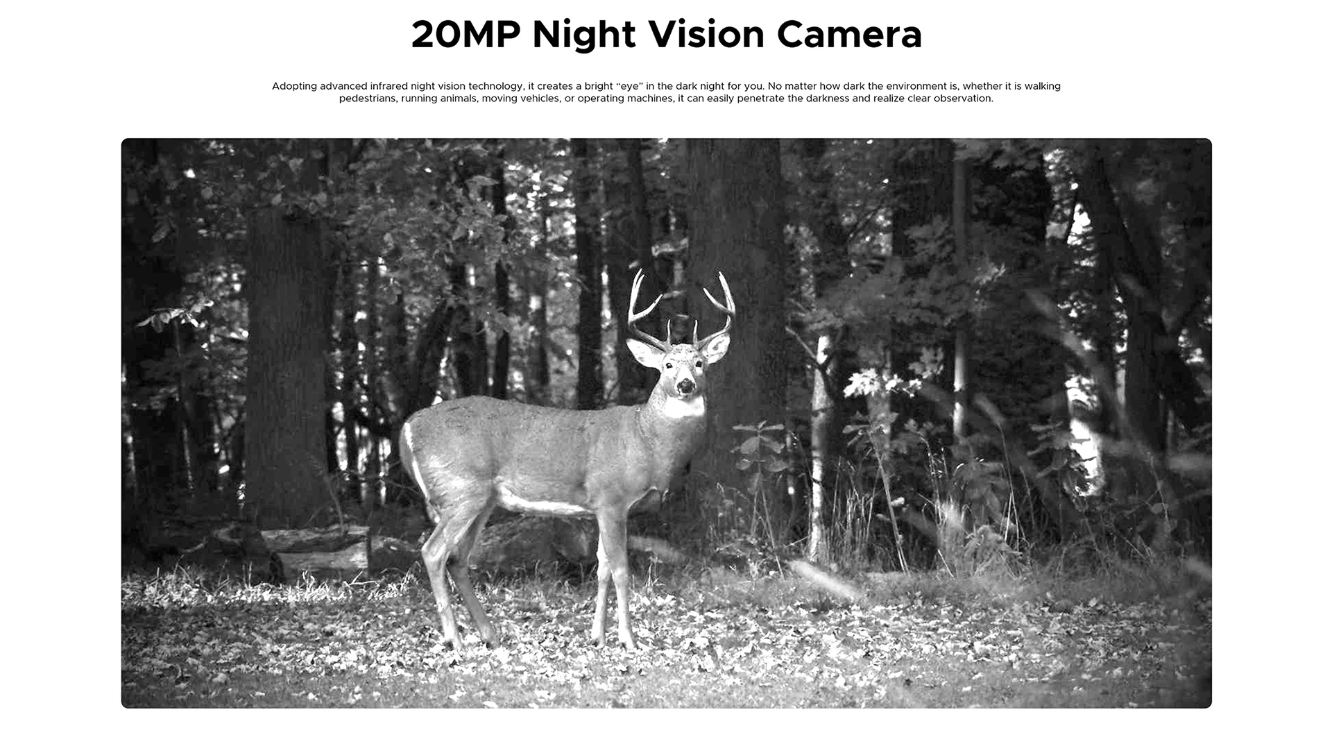 DOOGEE S119 Rugged Phone 6.72" FHD+ IPS Screen 8GB 512GB 100MP AI Main Camera 10200mAh Battery 33W Android 14 NFC