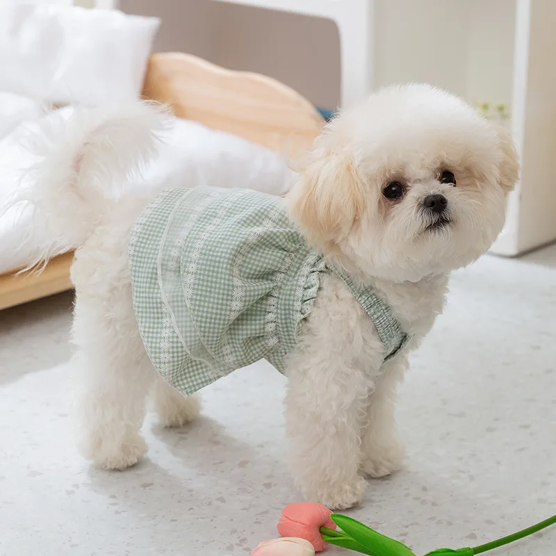 Spring and Summer Dog Princess Style Small Daisy Plaid Lace Suspender Dress Cat Two Legged Dress Pet Clothing