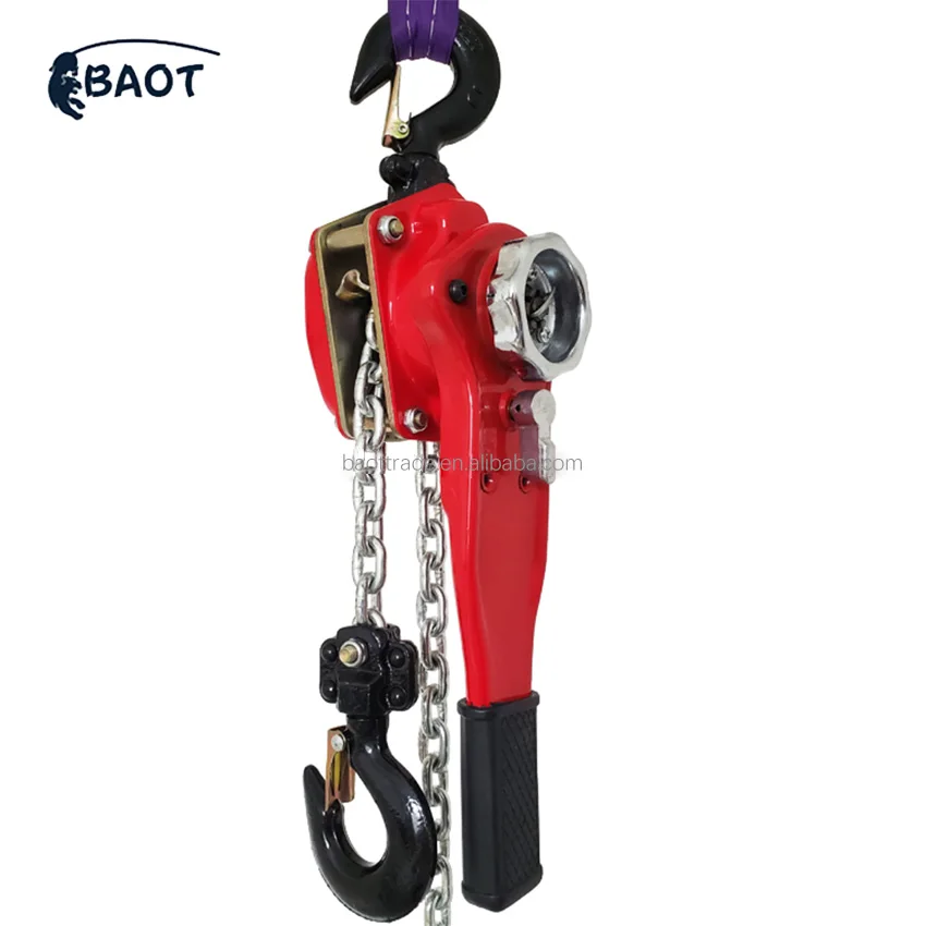 Hand Operated Manual Lever Hoist 10 Ton G80 Chain with Height Limiter for Lifting Goods