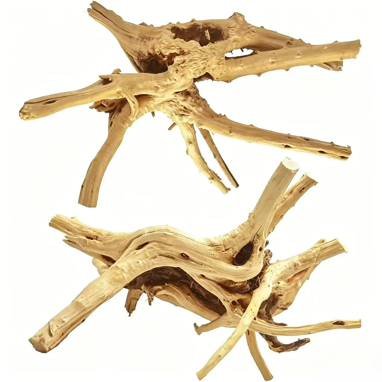 Natural Small Spiderwood Driftwood Eco-Friendly Modern Aquarium Decor For Reptile & Fish Tank