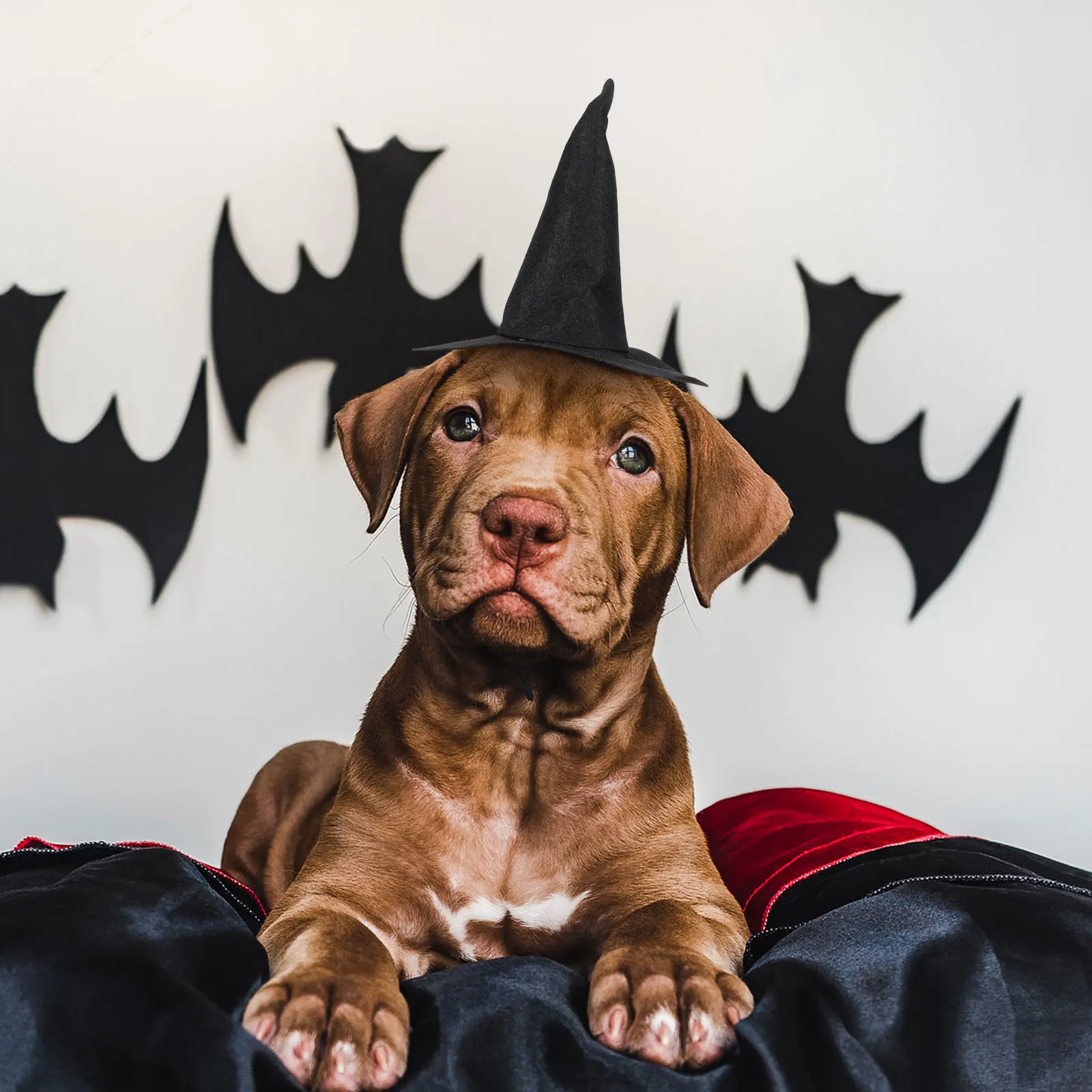 

2pcs Hat For Halloween Decor, Pet Costume Accessory, Soft Nonwoven Party Hat, Tiny Spooky Decoration, Wizard Theme