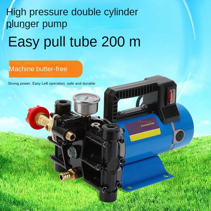 12V 48V 220V Piston Cylinder Water Pump Electric Sprayer Unit For Farm Pesticide Irrigation Disinfection Vehicle Clean