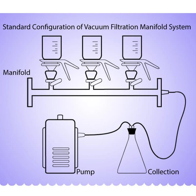 Rami a 1/3/6 vie Collettori di filtraggio sottovuoto Sistema Membrana Buchner Imbuto Filtro Set di bottiglie riutilizzabili in acciaio inossidabile
