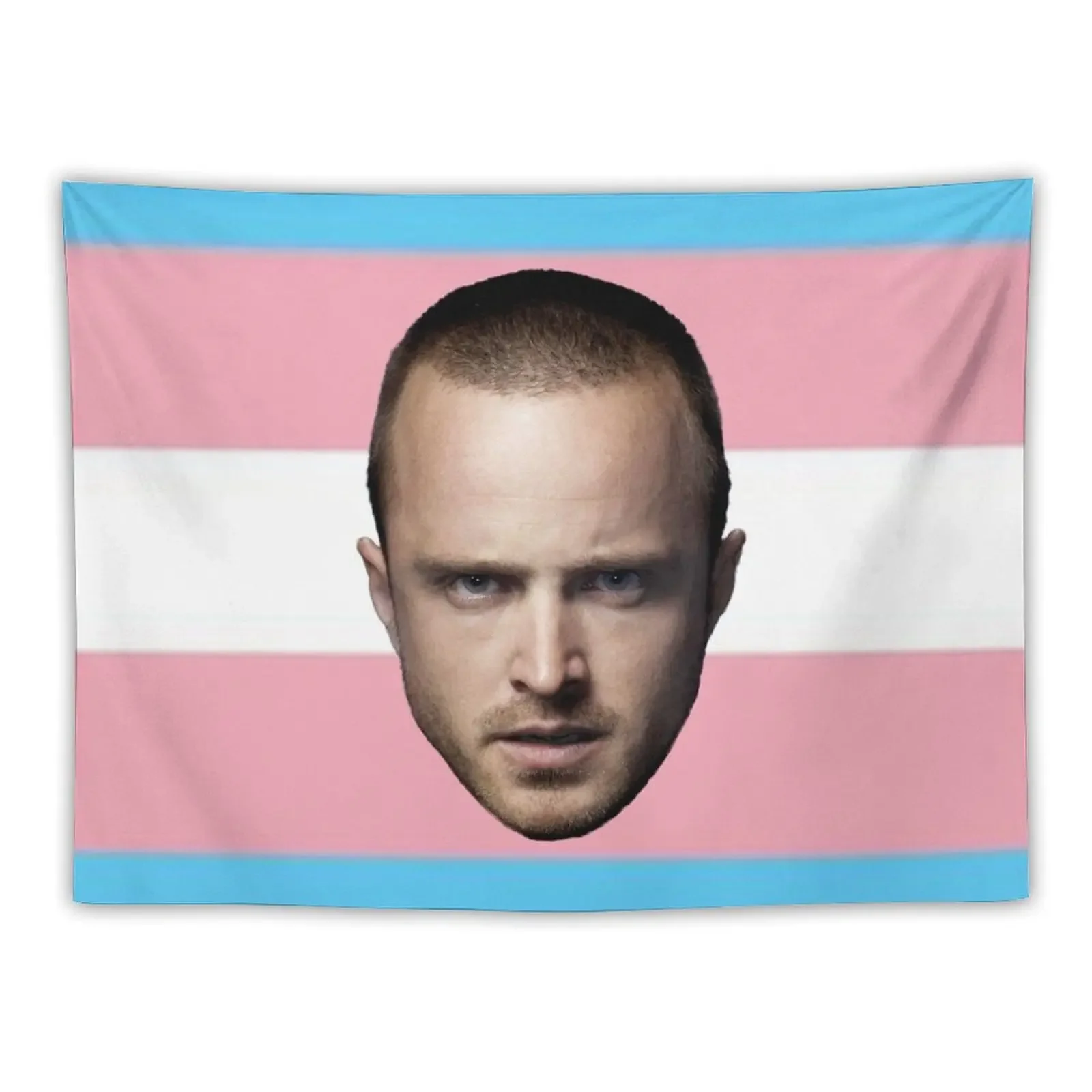 

Transgender Jesse Pride Tapestry Room Decor Korean Style Wall Decoration Custom Tapestry