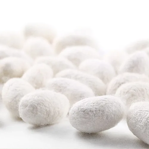 Imagen 2 del producto Par de velo de seda de 180cm para adultos, accesorios de danza del vientre hechos a mano, disfraz de espectáculo nacional folclórico de China, gradiente de menta blanca, novedad de 100%