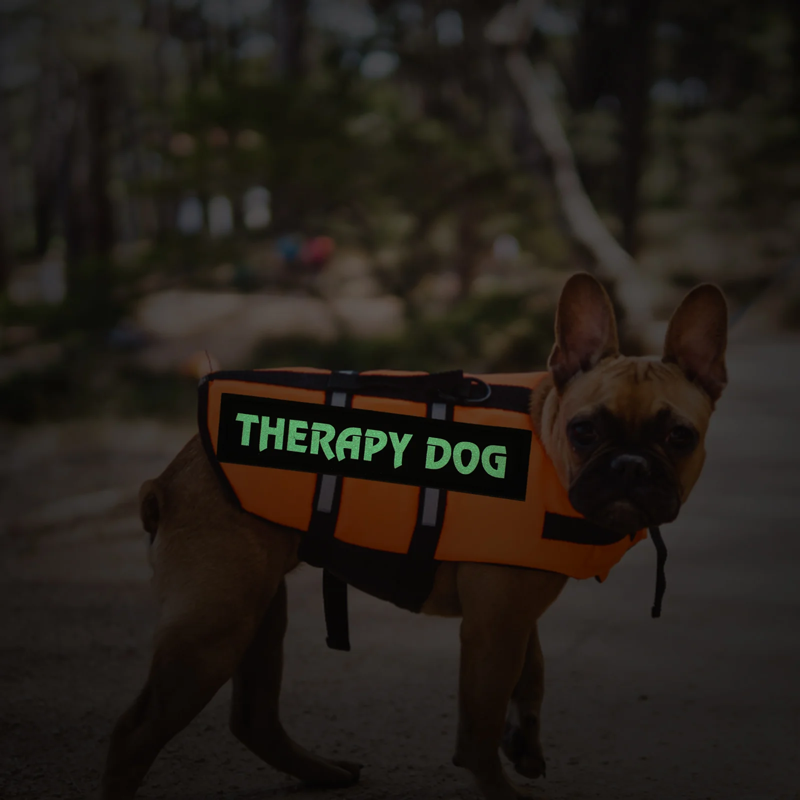 

1Pair Reflective Pet Harness Patch Night Glow Removable Service Dog Vest Patch Decorative Wear-Resistant Dog Supply