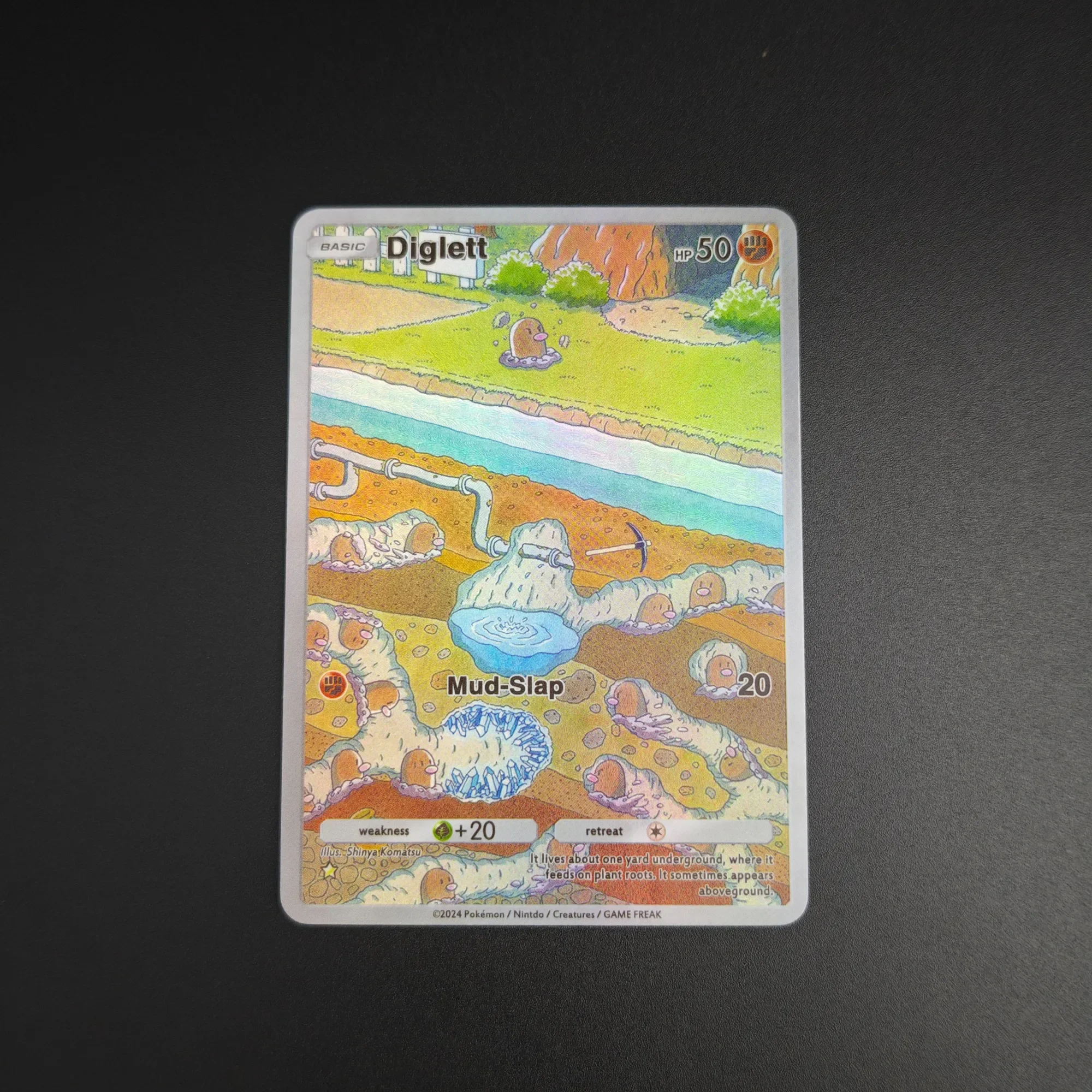 11Pcs/set DIY P.M. Pocket Collection Card Blastoise Venusaur Rapidash English Game PTCG Collection Card Rough Color
