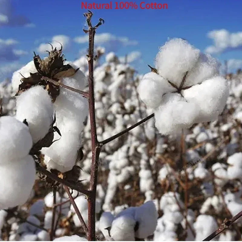 100% Cotton Luxury Super Soft Microfibe Pure Cotton Bed Sheets Double Queen King Bed European and American Bedding 150 180 200