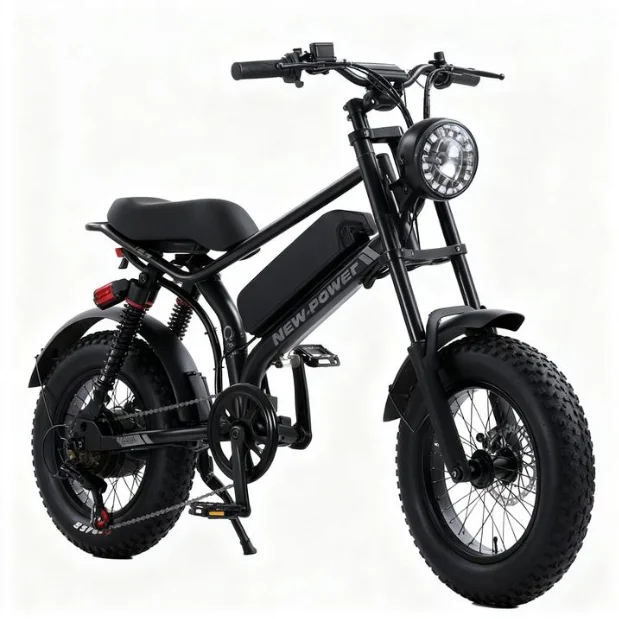 

High Power Motor High Speed Bike Fat Electric Bicycle Motor Ebike Fatbike Electric Mountain Bicycle Fat Tire Ebike
