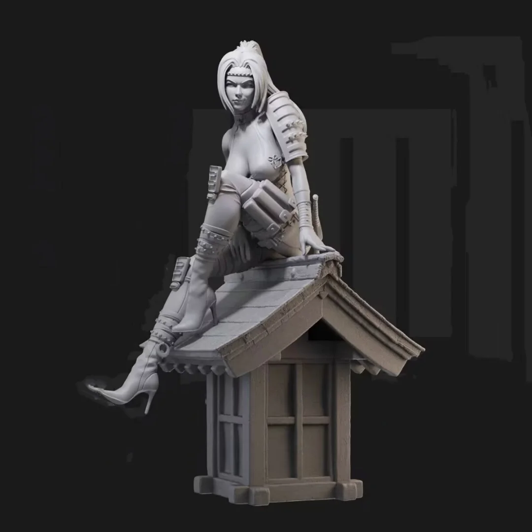 

1/24 Scale Resin Figure Assemble Model Kit Rachel - Dead or Alive Unassembled Unpainted 3D printing toy