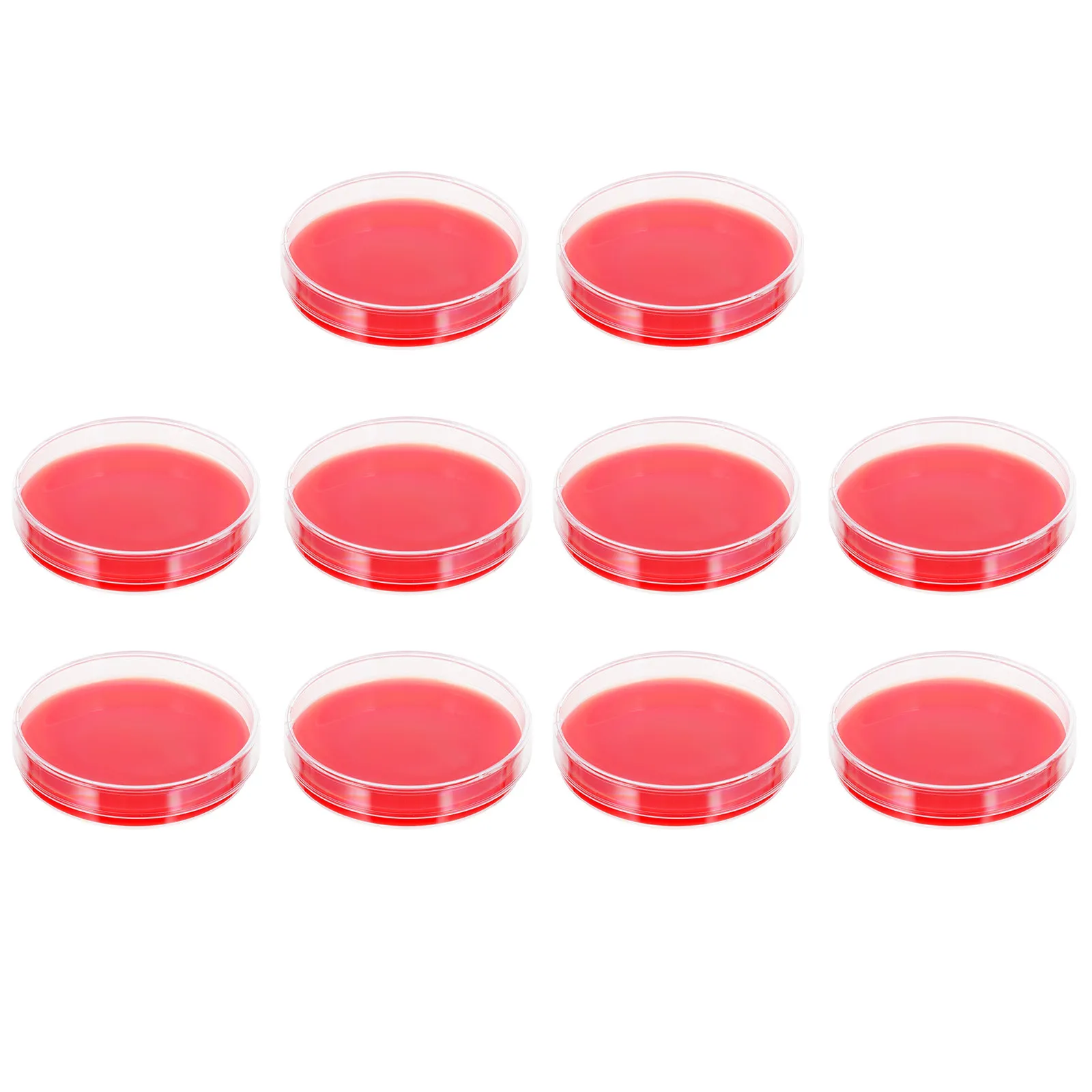 Blood Agar Plates 10 Pcs Laboratory Culture Growth Medium Precision Molded Petri Dishes for Microbiology