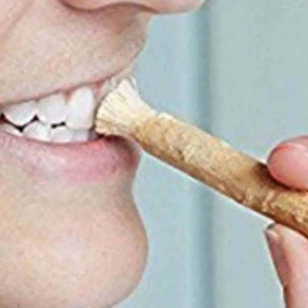

1pcs Natural Toothbrush Sticks with Natural Flavor Vacuum Sealed No Toothpaste Needed Healthy Gums Teeth Toothbrush