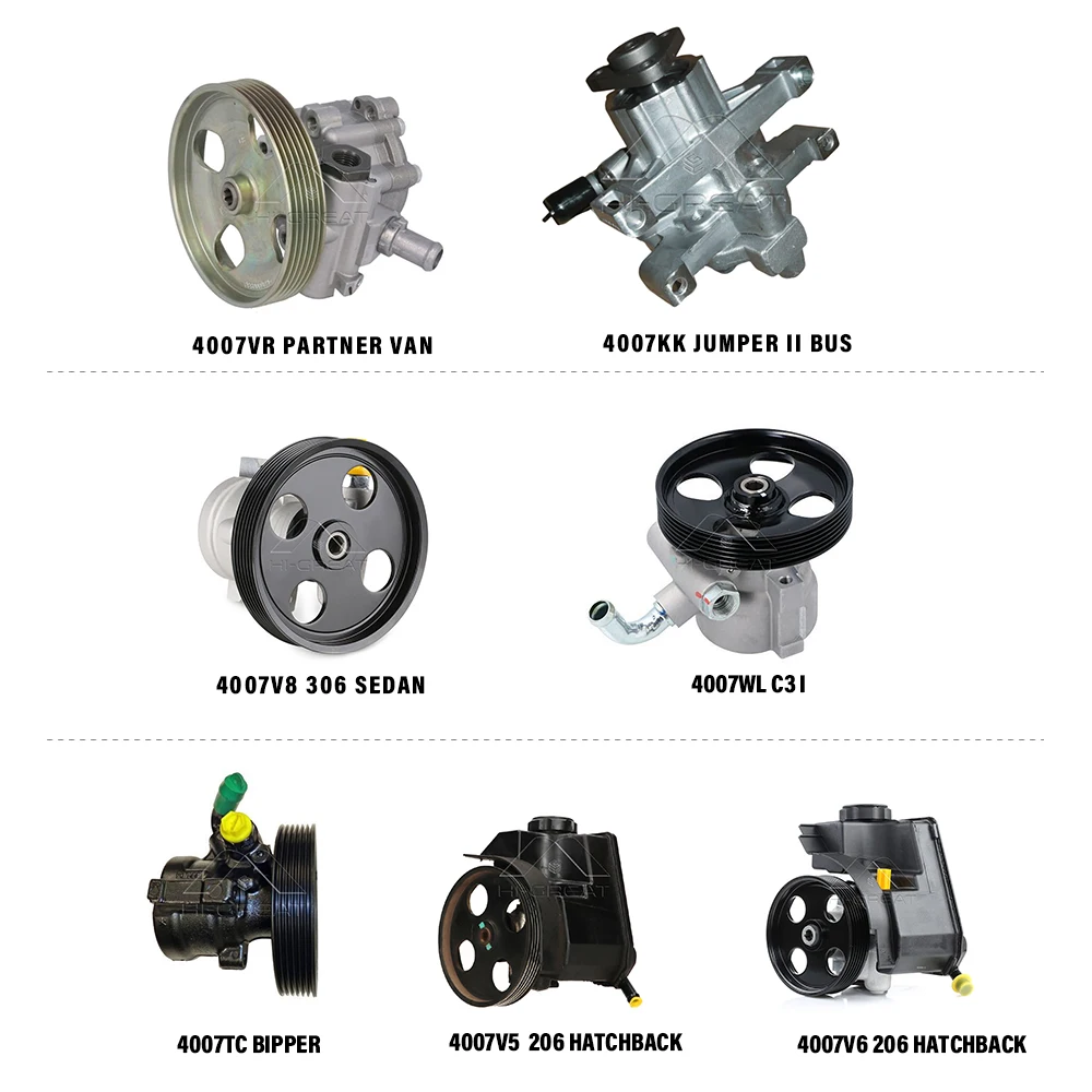 Pompe de direction assistée de voiture de haute qualité, fabricant chinois 40075E/4007.5E pour 206 hayon