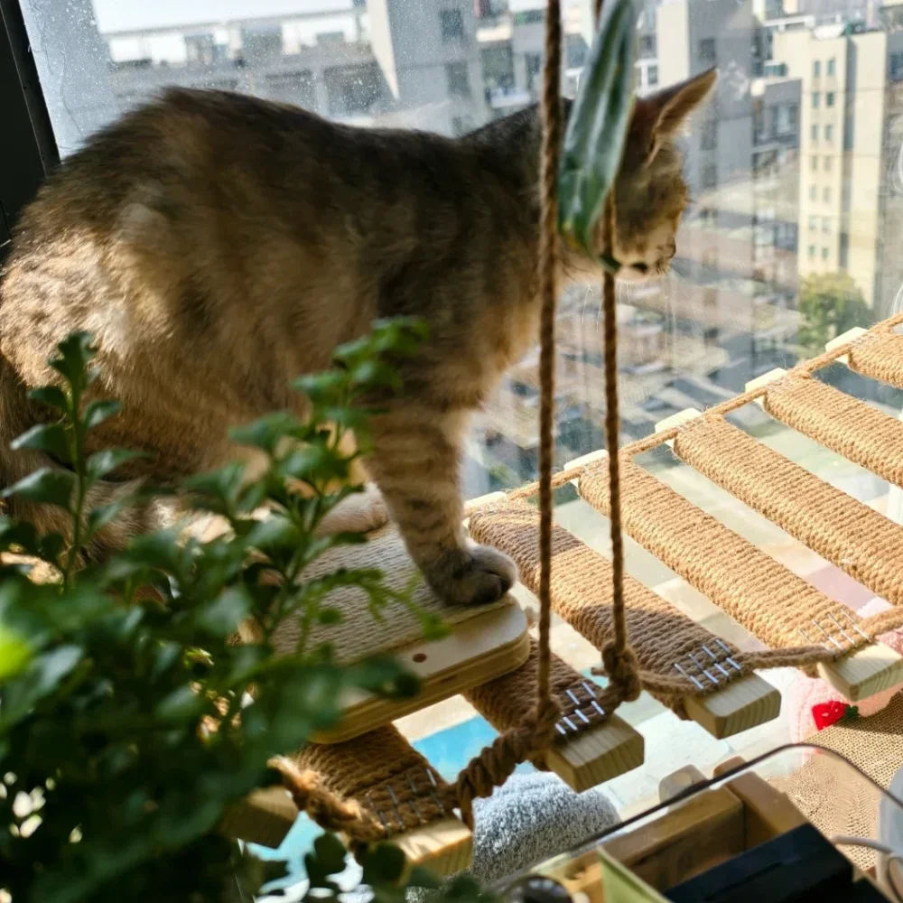 

Cat Climbing Shelves Cats Bridge Wall-Mounted Cat Tree Sisal Rope Ladder Hammock Kitten Training Toys Wooden Pet Furniture