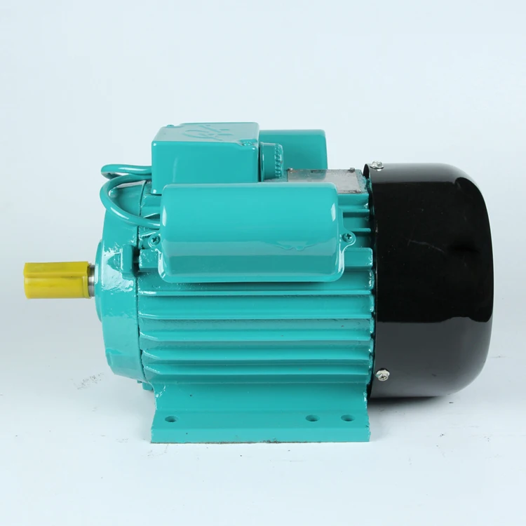 Electric Motor IP54/55 220 Volt Ac Electric Motor