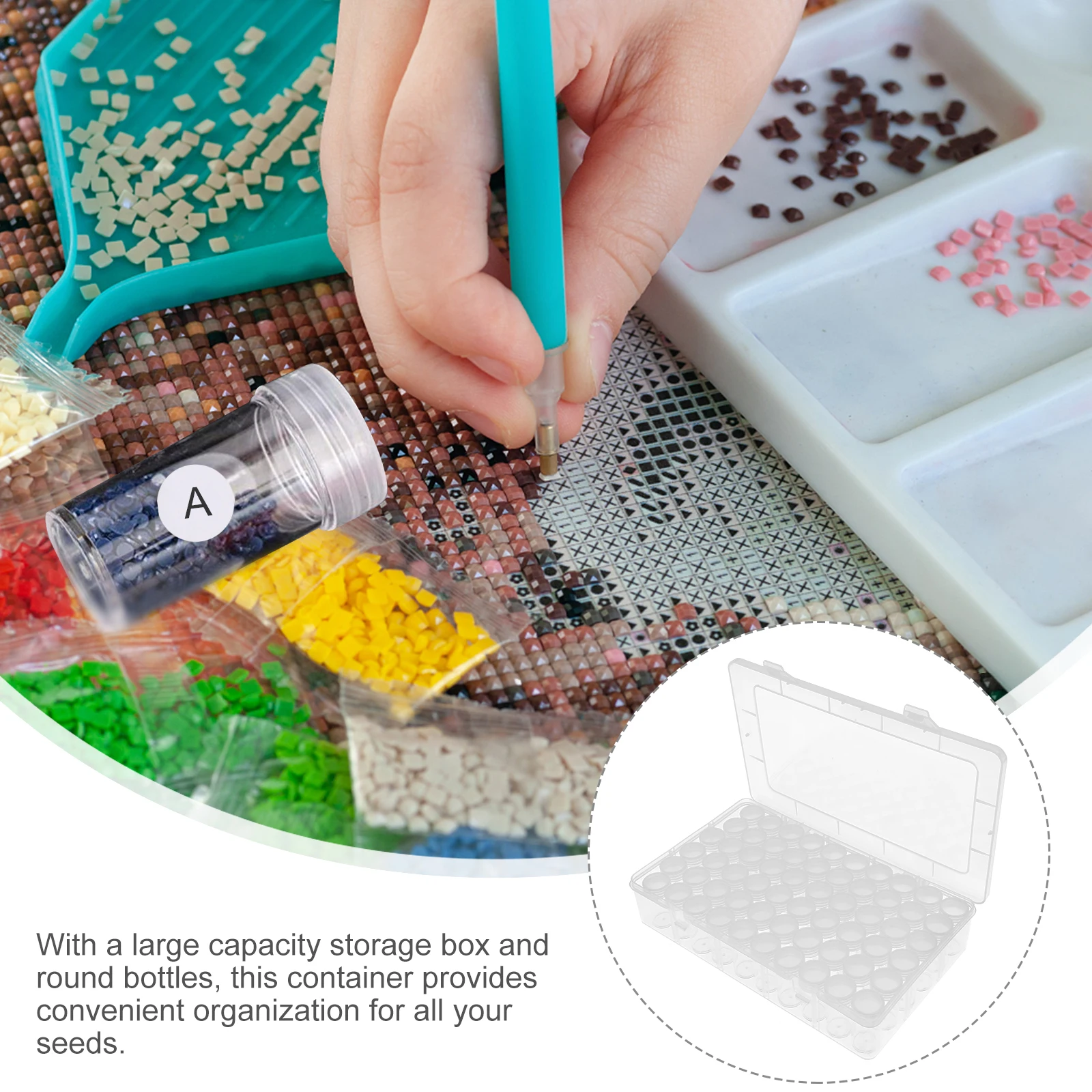 

60 Transparent Seed Storage Containers Reusable Round Bottles ganizer Box Stickers Seeds Small Plastic Storage Box