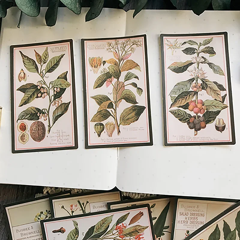 12Pcs Plant Drawing Vintage Stickers Junk Journal Ephemera Flower Leaf Craft Aesthetic Stickers DIY Album Scrapbooking Material