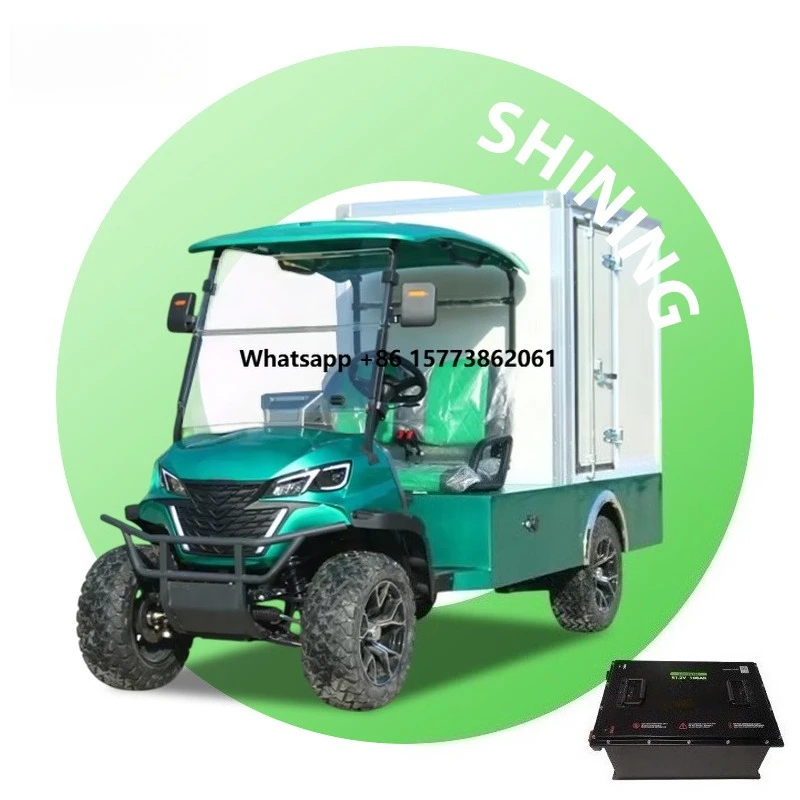 lsv 2-Seater Electric Golf Cart with Cargo Box for Housekeeping & Buggy Use
