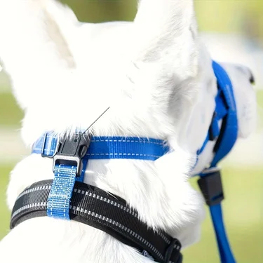 Hundemaulkorb Hundekäfig Hundeleine Hundezugseil Hundespazierzubehör Atmungsaktiver Hundemantel – Detail 9