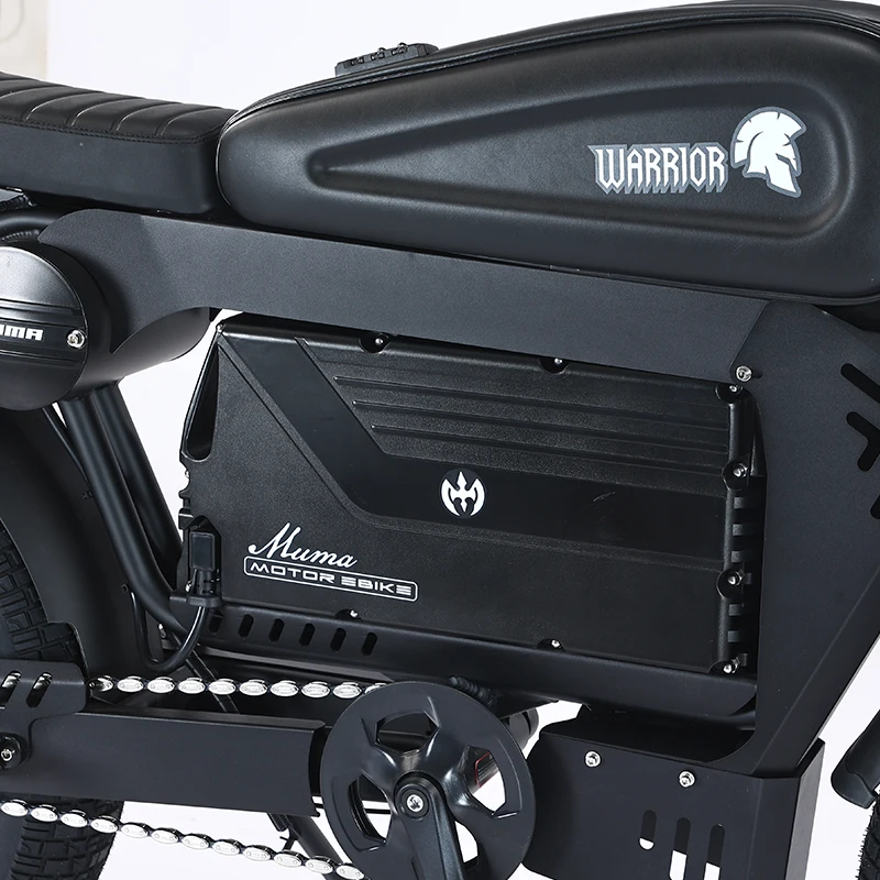 

New Design 48V 1500W Electric City Bike Popular 20-inch Aluminum Alloy Mountain Tube With 33ah/55ah Electronic Lithium Battery