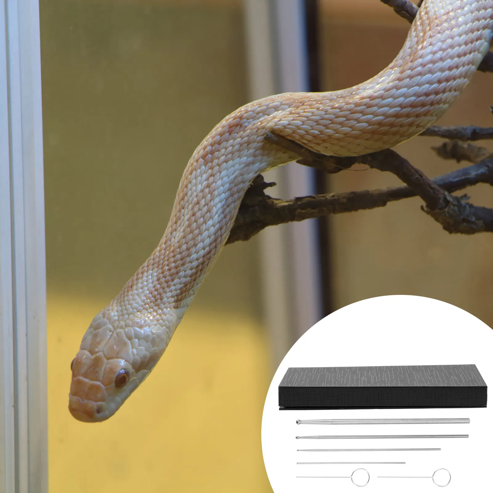 6pcs-snake-gender-set-high-quality-reptile-probe-kit-easy-to-use-fast-accurate-gender-identification-for-all-snakes