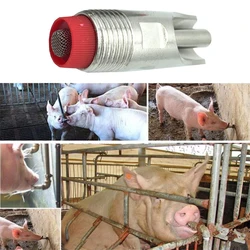 With Filter Stainless Steel Duckbill Type Pig Nipple Automatic Sheep Waterer Drinker 1/2