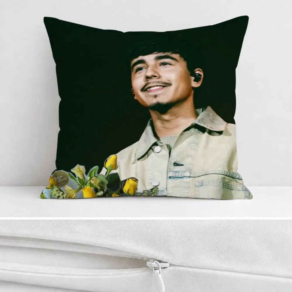 Ivan C-Cornejo Double-sided Printed Square Decorative Cushion Cover for Sofa Living Room Home Decor