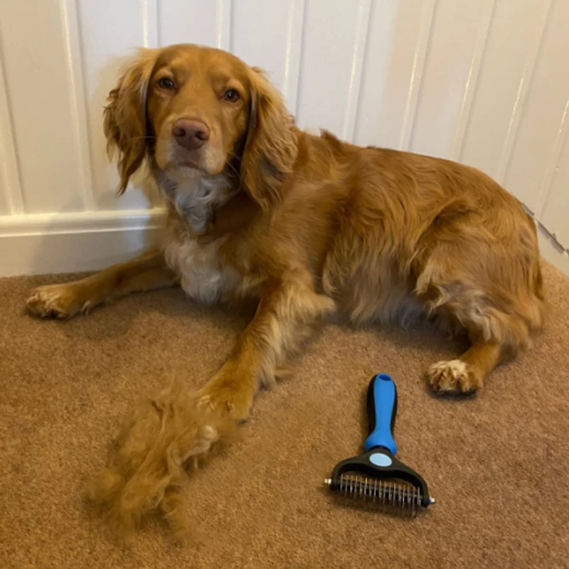 Animal Hair Brush Dog Grooming Brush Pet Hair Remover for Matted Long and Short Curly Haired Cats Pet Supplies Dog Accessories image 3