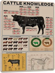 Cattle Knowledge Metal Tin Sign Breed Information Poster Animal Farm Anatomy Club School Educational Wall Decoration