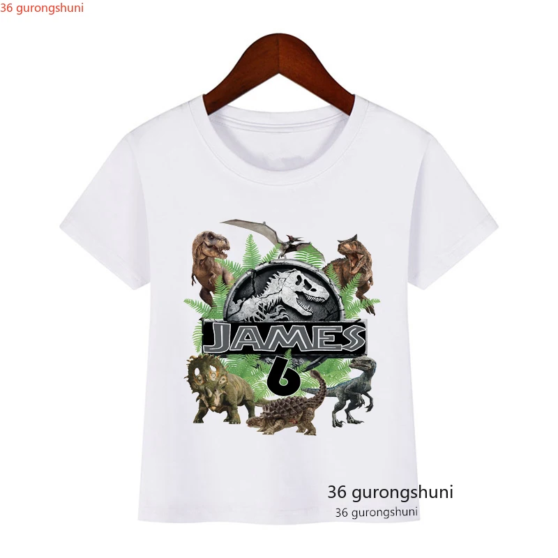 Jurassic Park Birthday 2-9th Shirts, Custom Dinosaur T-Shirts, Fashion Boys tshirts Funny Kids tshirts for Kids Birthday tops