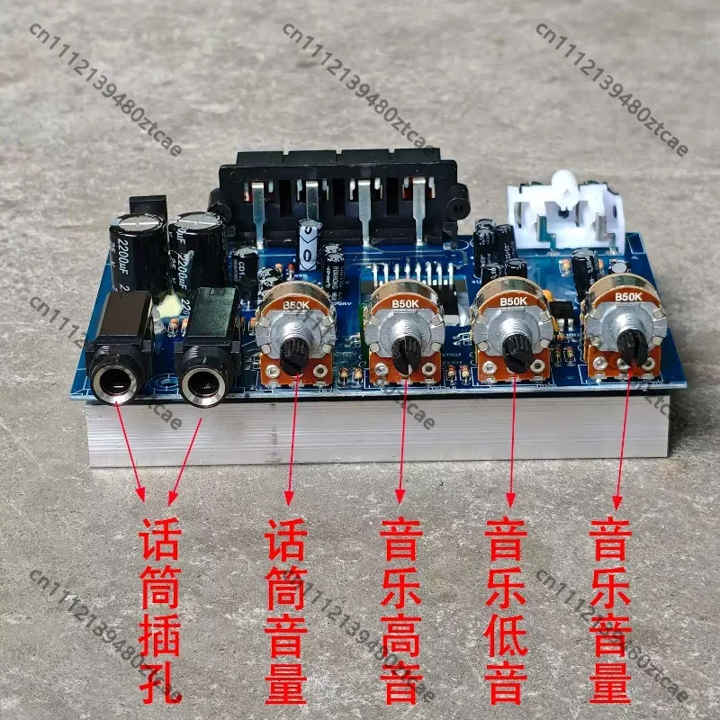 For DC12V Karaoke Audio Amplifier Board Dual Microphone Port Power Amp Module Speaker DIY Modification Accessories view 3