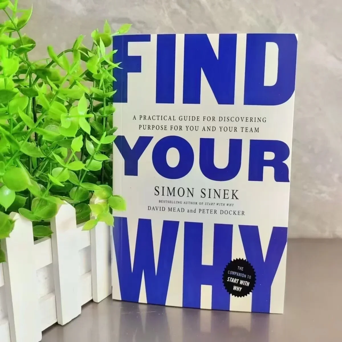 

Find Your Why By Simon Sinek How Great Leaders Inspire Everyone to Take Action Books of Economics & Management Novels