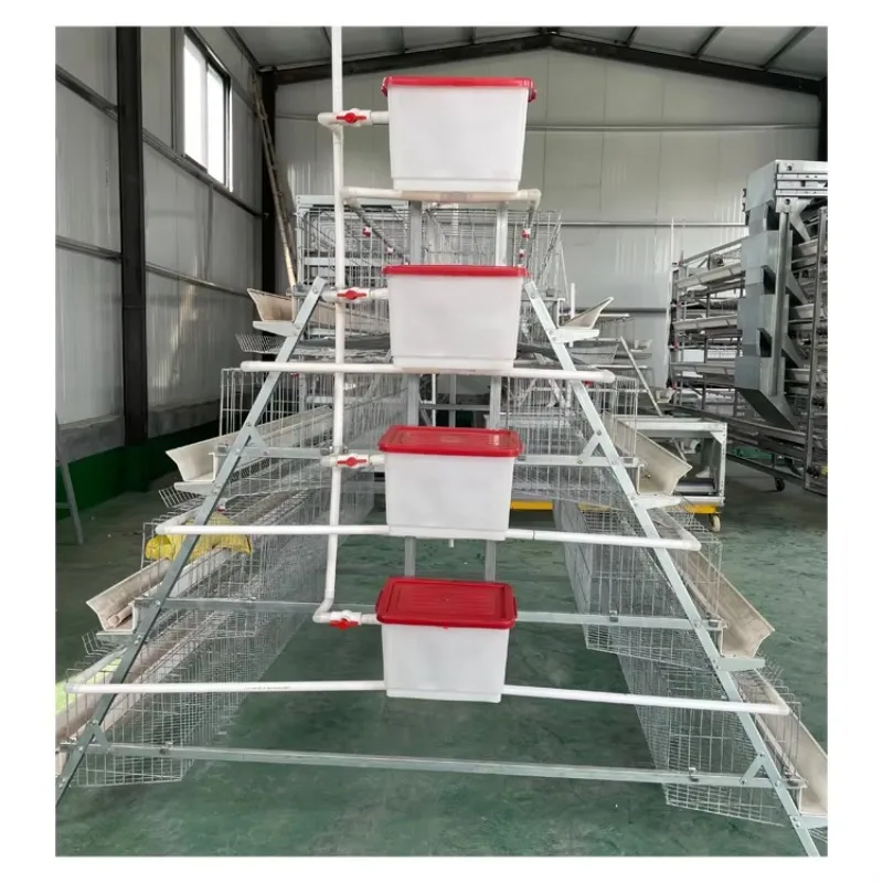 

Feed Trough a Type Business Poultry Equipment Hot-dip Galvanized Wire Manual Cage and Layer Cage for Sell in Chicken Farm