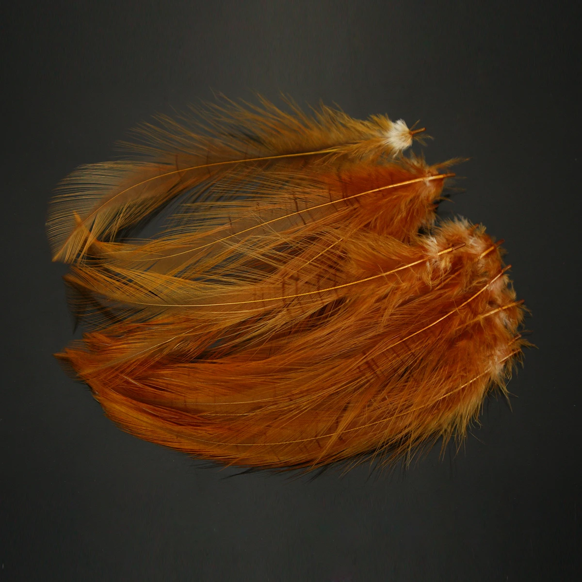 Saltwater Neck Hackle Fly Tying Material Feathers