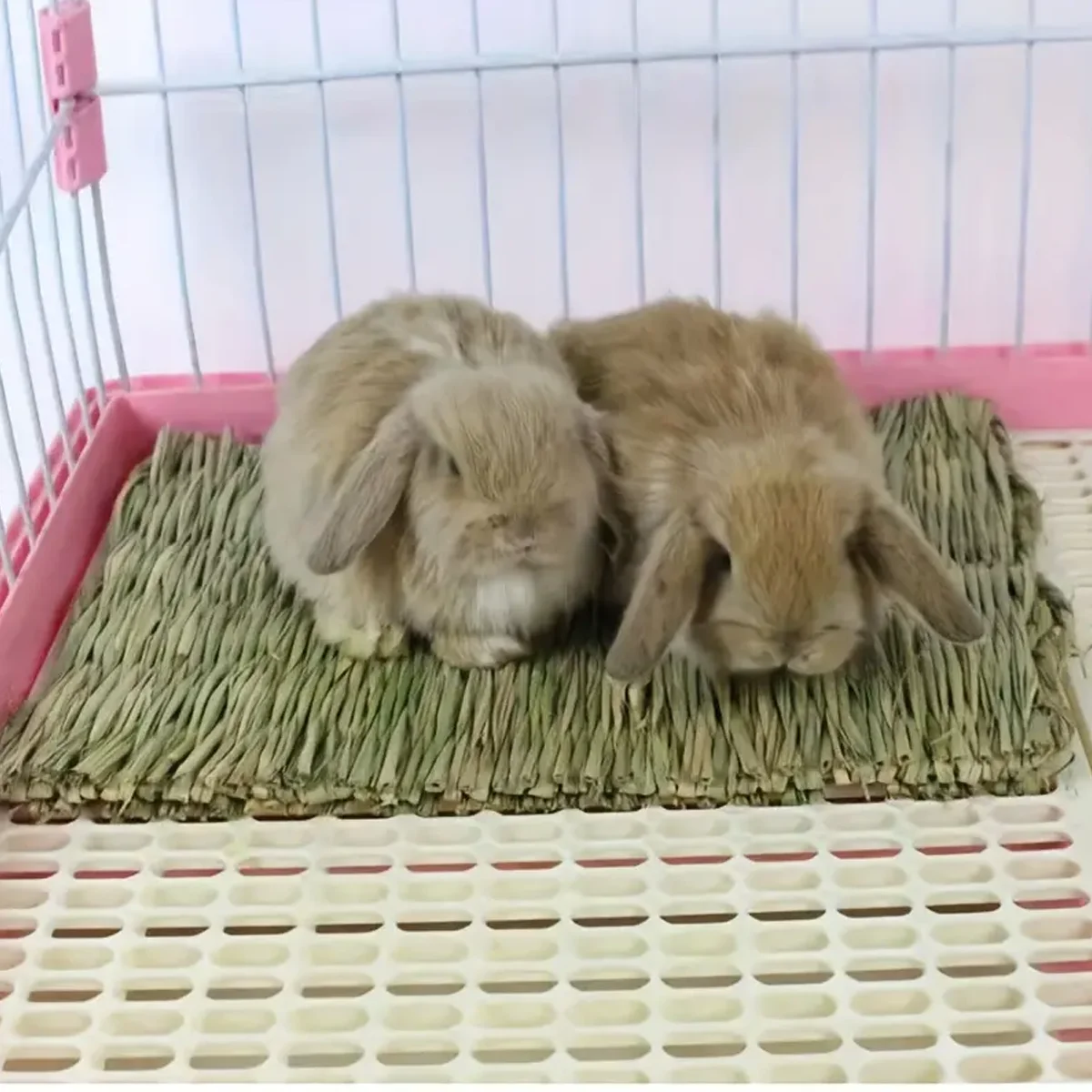 Thumbnail 3 - #1 Latest Small Animal Bedding Offers