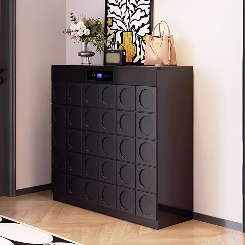 For Sterilizes Intelligent Shoe Organizers Deodorizes Stairs Corridors Designer Shoe Cabinet Storage LED Schuhschrank Furniture