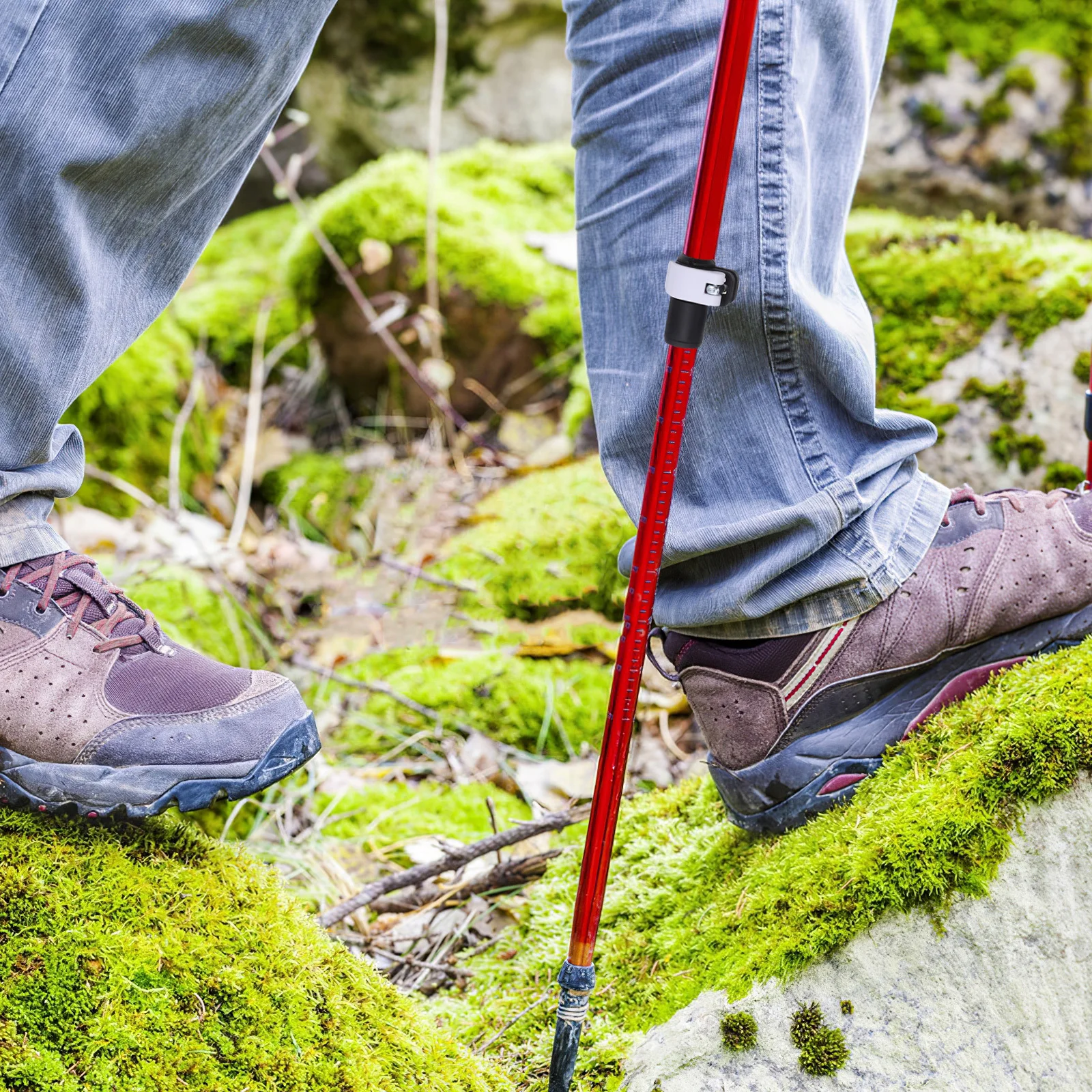 2개입 트레킹 폴 락 버클 유니버설 핏 견고한 지지대 무릎 부담 감소 경량 디자인 하이킹 클라이밍 워킹 스틱