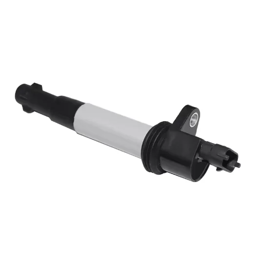 2112370501010 Car Ignition Coil For LADA 110 (2110) 111 (2111) 112 (2112) Kalina Priora Samara 1220703202 0221504461 20466