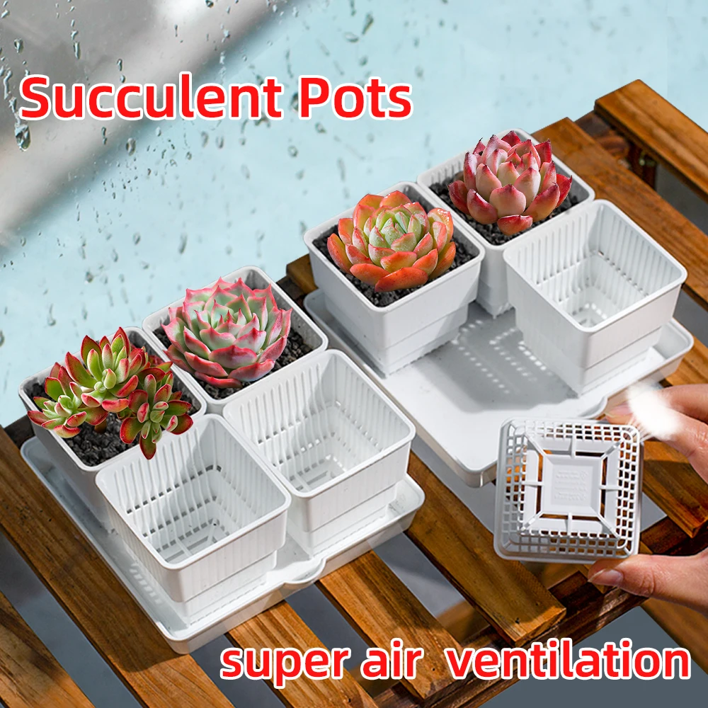 Meshpot Succulent Pot Cactus Planter with Drainage Holes Lithop Cups Plastic Flower Pot for Home Decoration Holiday Gift