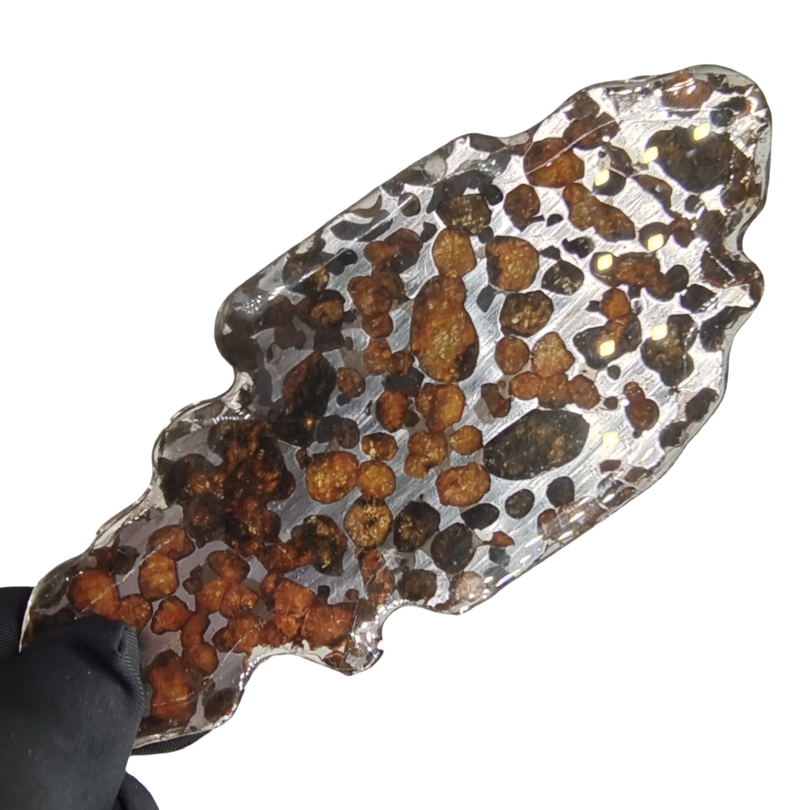 34.6g Seymchan Pallasite Olive Meteorite Slices Specimen Natural Meteorite Material Sliced Collection - TA665