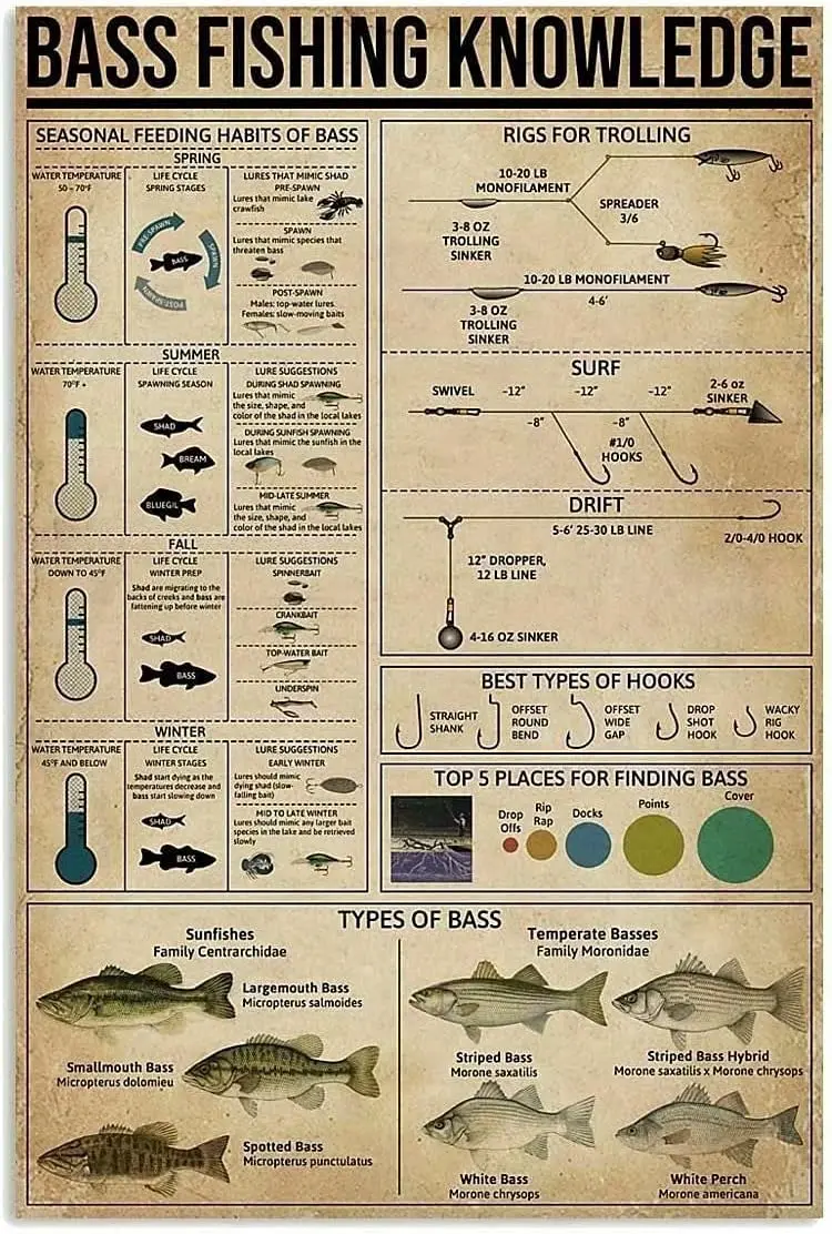 Vintage Metal Sign Bass Fishing Knowledge Tin Sign Seasonal Feeding Habits Of Bass Plaque Wall Decor Home Man Cave Garage Bar Ca