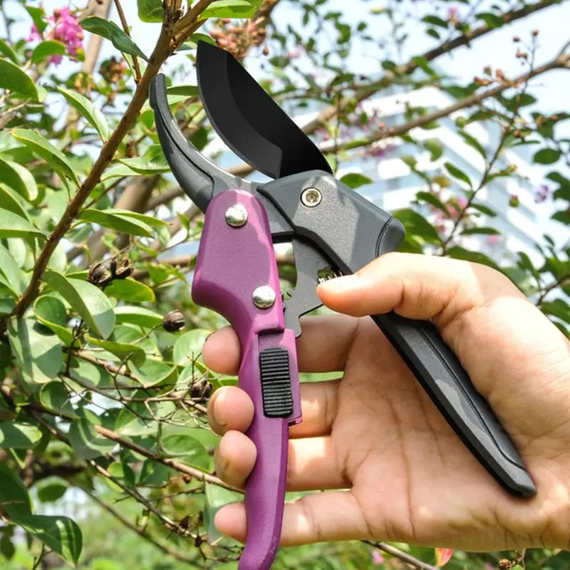 

Garden Scissors Flower Scissors For Stems Safety Lock Design Garden Stem Shears With Anti-slip Handle Labor-saving Spring Device