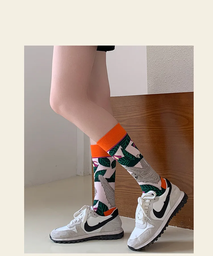 Fashion Colorful Spring Autumn Stocking Women's Socks Plant Hedgehog Slothsi Cotton Socks Personality Straight Trendy Socks