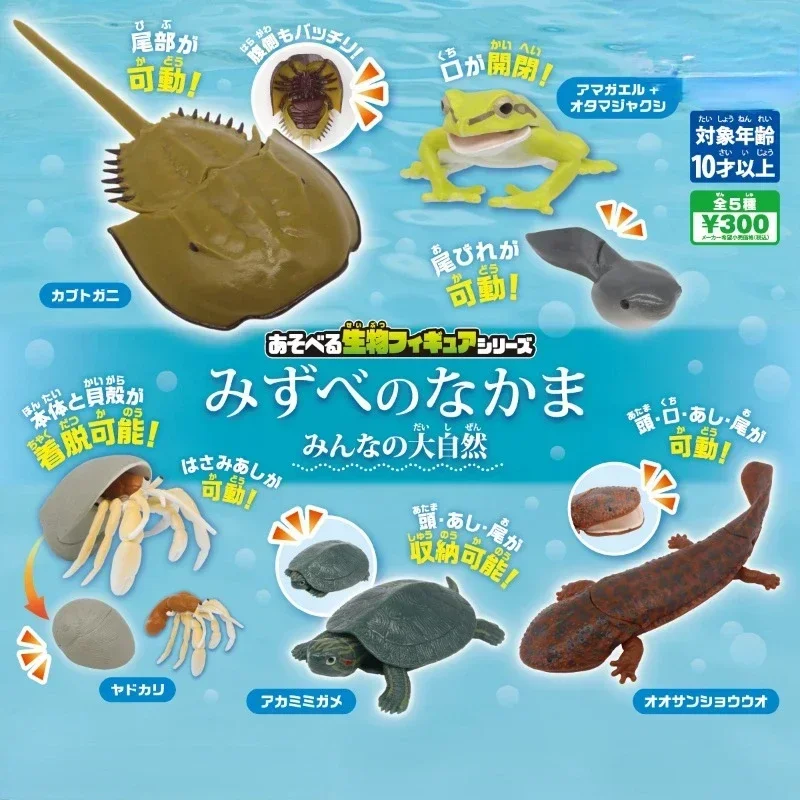 

Original Gashapon Figure Anime Cute Waterside Organism Lobster Tortoise Hermit Crab Kawaii Figurine Gacha Capsule Toys Gift