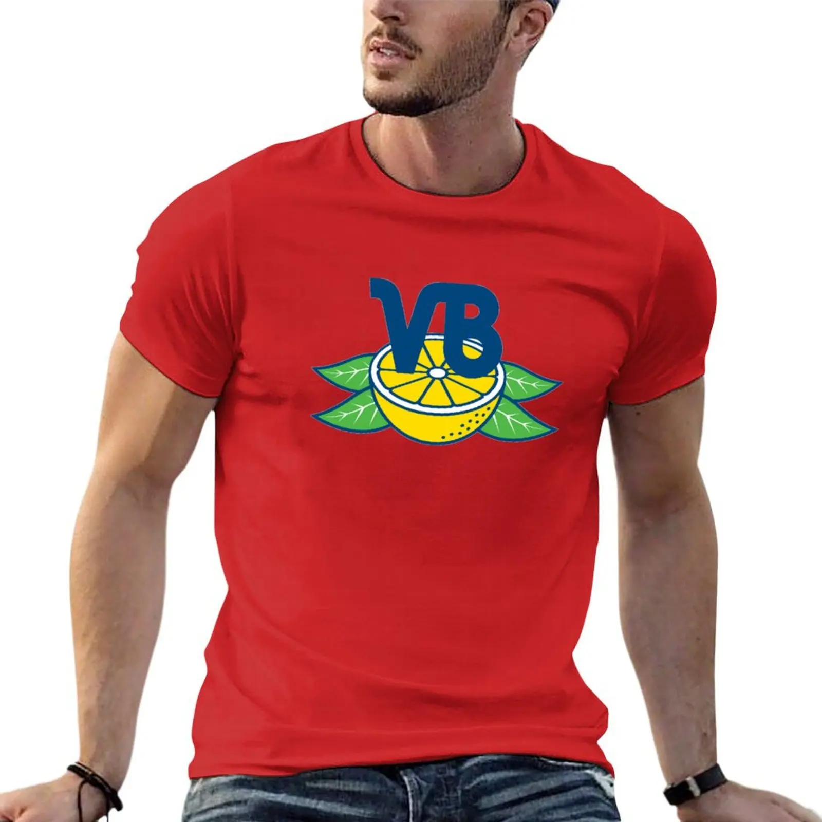 Vero Beach Dodgers Vintage Minor League Baseball T-shirt for a boy heavyweights tops summer clothes mens white t shirts