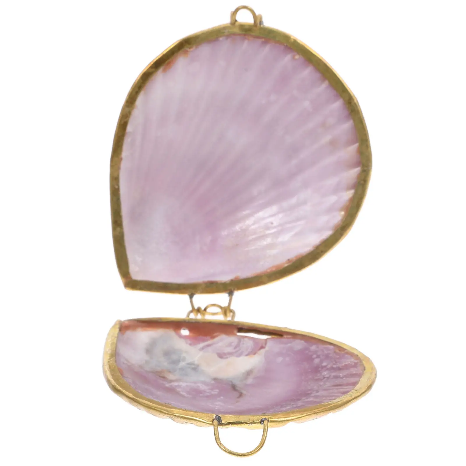 

Seashell Jewelry Box for Rings Earrings Necklaces Pendants Small Decorative Trinket Case Chic Stylish Desktop Decor Gift