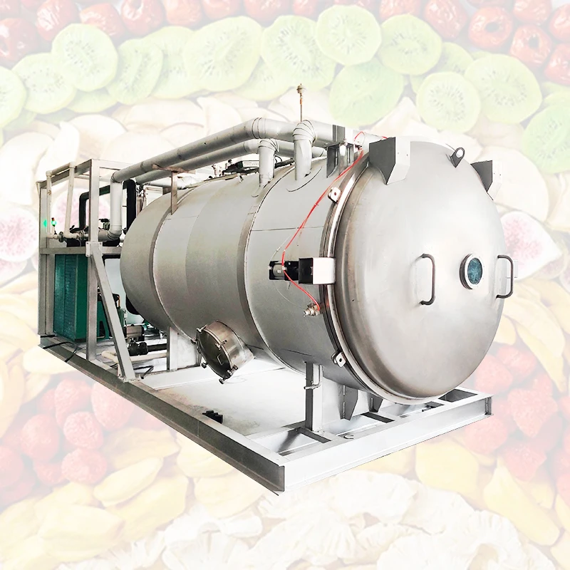 Customize High Quality Commercial Lyophilization Machine Complete Production Industrial Freeze Dryer