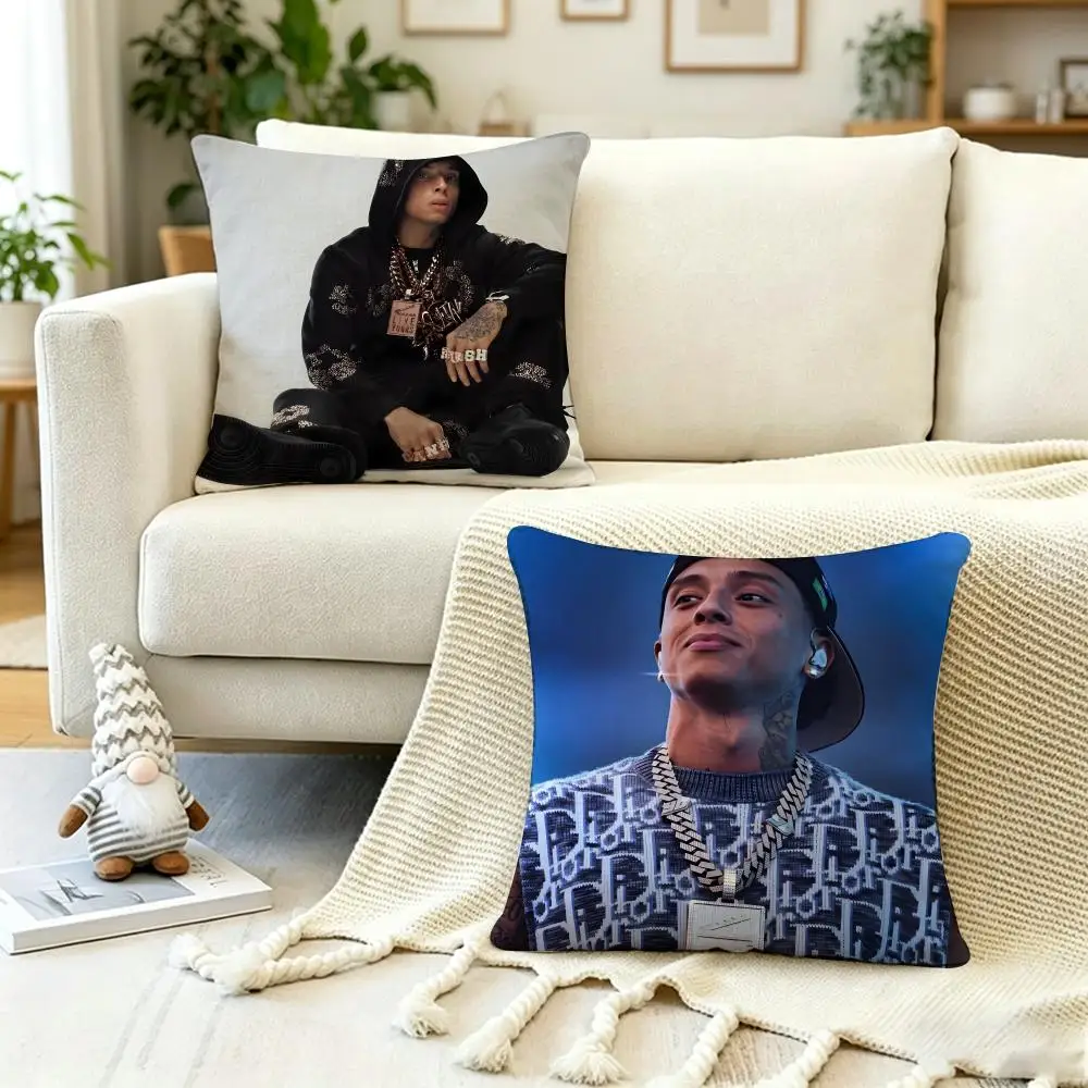 Singer C-Central Cee Cushion Cover Anti-dustmite Pillowcase Invisible zipper silky short plush Sofa cushion cover