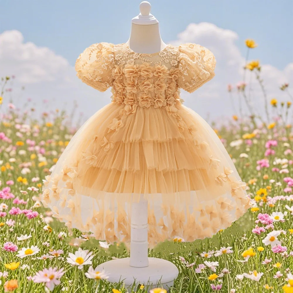 Children's flower dress wedding flower children's outdoor vacation dress trailing beautiful dress flower embroide