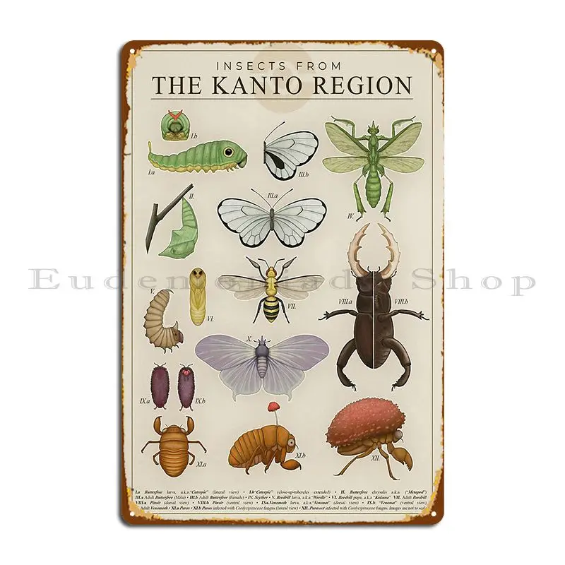 Insects From The Kanto Region Metal Plaque Poster Customized Wall Mural Create Retro Home Tin Sign Poster